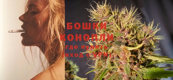 трава Елабуга