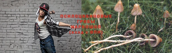 трава Елабуга